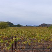 Napa 031 : Napa